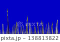 army swords and spears raised up on a blue screen 138813822