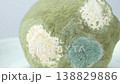 Close-up of green mold growing on a rotten fruit lemon. 138829886