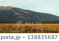 Panning panorama of Western Tatras (Zapadne Tatry, Liptov region), mount Krivan peak (Slovak symbol) at the end, green meadow in foreground, on clear autumn day 138835687
