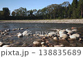 River flowing on a sunny day, round stones at shore, trees background 138835689