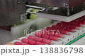 Semi finished sausages on sticks pass through industrial processing machine in factory. Automated meat production stage with modern equipment in food manufacturing industry. 138836798