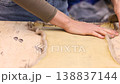 Detailed view of untreated small animal hide placed on wooden workbench inside traditional fur studio. Inner leather side visible displaying grain structure and material quality 138837144