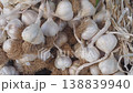 Fresh garlic displayed at a local market in the morning 138839940