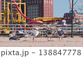 Seagulls on Coney Island beach in Brooklyn, New York, USA. Retro amusement luna park and sea gulls. 138847778