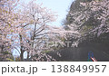 A park where cherry blossoms are fluttering. 138849957