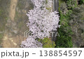 Aerial footage: A drone takes a bird's-eye view of a row of cherry trees in full bloom, moving forward as it goes. 138854597