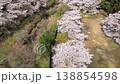 Aerial footage: A drone pans over a stream flowing through the mountains and a row of cherry trees in full bloom in a park, then pans backward. 138854598