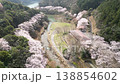 Aerial footage of cherry blossom trees in full bloom and mountain cherry trees in a park with a stream flowing through the mountains, filmed by a drone moving forward above. 138854602