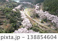 Aerial footage of cherry blossom trees in full bloom and mountain cherry trees in a park with a stream flowing through the mountains, captured by a drone flying backwards overhead. 138854604