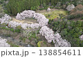 Aerial footage of a park nestled in the mountains, surrounded by trees, and a row of cherry trees in full bloom, captured by a drone ascending while moving backward. 138854611