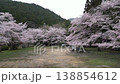 Aerial footage of a park nestled in the mountains, with cherry trees in full bloom on both sides, as the drone moved forward through the center of the park. 138854612