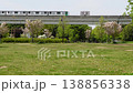 The Nippori-Toneri Liner runs through the lush green Toneri Park, with dandelion fluff floating in the air. 138856338