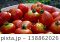 A lot of red ripe freshly picked tomatoes in a bucket in the garden 138862026