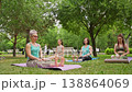 Group of women doing abs exercises on grass mats outdoors together during summer fitness class. Abs exercises, mats, group, fitness, outdoors, women. 138864069