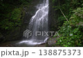 Water pours down from a tall cliff surrounded by thick green trees and plants. Sunlight shines through leaves, creating a natural scene in the forest. 138875373