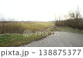 A gravel road leading to an open field surrounded by trees. Cloudy, grass brown. 138875377