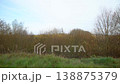 Bare trees and shrubs fill the scene, while open fields stretch in the background. The sky is cloudy. 138875379