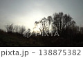 Sunlight visible behind the trees in a natural area. The sky is gray and cloudy. 138875382