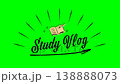 Stylish handwritten-style Study Vlog title video. Lifestyle, student, school, studying. 138888073