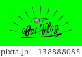 Stylish handwritten-style cat vlog title video. Lifestyle, cats, animals, pets. 138888085