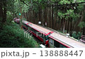 Top View of Alishan Forest Railway Train Running Through Mountain Forest in Taiwan 138888447
