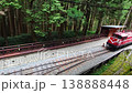 Top View of Alishan Forest Railway Train Running Through Mountain Forest in Taiwan 138888448