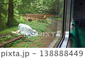 View from Alishan Forest Railway Train Window Through Mountain Forest in Taiwan 138888449