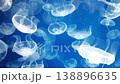 一段令人感到治癒的視頻，水母在水中輕輕漂浮。 138896635