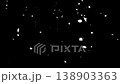 Video footage of white cherry blossom petals fluttering against a black background. 138903363