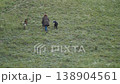 A woman with a black and white border collie and a shepherd dog walk up the hillside 138904561
