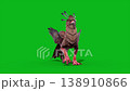 green screen griffin walks front mythological creature 3d animation 138910866