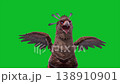 green screen griffin attack loop mythological creature 3d animation 138910901