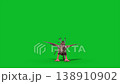 green screen griffin attack front loop mythological creature 3d  138910902