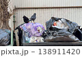 Black crows scavenging for food scraps in a full garbage bin, pecking at plastic bags and leftover waste in an urban alleyway, highlighting wildlife survival and environmental pollution 138911420