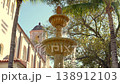 Historic building with fountain and palm trees in Florida 138912103