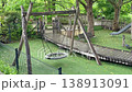 Slightly moving empty swing in the park playground for kids, rest and relax natural background template, no children, loneliness sadness concept, ground is wet after rain 138913091