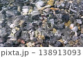 Clear transparent waves of Mediterranean sea move gently in shallow water, round pebbles are seen through ripples, peaceful relaxing atmosphere, vacation season 138913093