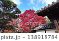 Nov 26 2025 Tenjuan, Nanzen-ji, Kyoto, Japan 138918784