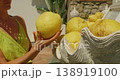 A woman examines large yellow lemons to prepare limoncello displayed outdoors during summer holidays in Capri Italy 138919100