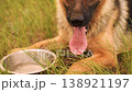 Dog and owner sharing a water break outside. Bonding time, Pet hydration, Green surroundings, Loving care, Clean water, Canine rest, Nature breeze, Pouring water, Animal need, Outdoor companion. 138921197