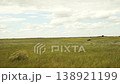 Dog sprinting through the meadow, Black and tan fur shimmering, Excited canine enjoying freedom, Powerful legs in action, Courageous dog with keen eyes, Pet s playful side on display, Ball captured 138921199