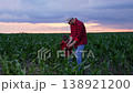 father and son enjoying a peaceful evening, walking through rows of corn, matching red shirts and blue jeans highlight their bond, both pointing excitedly at the sunset, fields stretch endlessly in 138921200