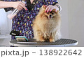 This heartwarming capture shows a gentle grooming routine 138922642