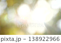 Defocused bokeh sunny nature abstract background, sun light with blurred leaves 138922966