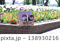 Two Chihuahuas in a basket, wearing matching outfits, in a field of blooming tulips. 138930216