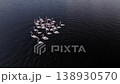 Flock of flamingos feeding in a dark water wetland lake, aerial drone view 138930570
