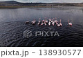Flock of flamingos feeding in a dark water wetland lake, aerial drone view 138930577