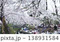 Cherry blossoms along the Nikaryo Canal and cherry blossom viewers 138931584