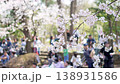 Cherry blossoms along the Nikaryo Canal and cherry blossom viewers 138931586