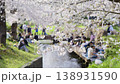 Cherry blossoms along the Nikaryo Canal and cherry blossom viewers 138931590